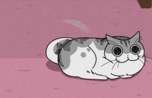 a drawing of a cat with a long tail on a pink surface