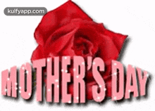 Happy Mothers Day Wishes With Red Rose.Gif GIF