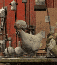 a chicken is standing on a table in front of a red wooden wall