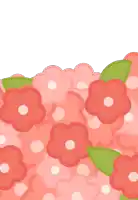 a bunch of pink flowers on a white background