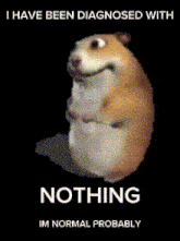 a picture of a hamster with the words " nothing im normal probably "