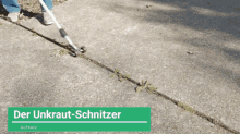 Der Unkraut Schnitzer Clean GIF - Der Unkraut Schnitzer Clean The Weed Carver GIFs