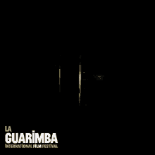 Guarimba Darkness GIF - Guarimba Darkness Escape GIFs