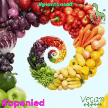 I Am Vegan Plant Based GIF - I Am Vegan Plant Based Openied GIFs