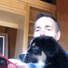 Dogs Will Forte GIF - Dogs Will Forte Good Housekeeping GIFs