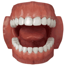 Teeth Dentist GIF - Teeth Dentist GIFs