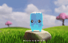 a cartoon character is standing on a rock with novaerys written on it