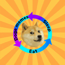 Doge Doge Meme GIF - Doge Doge Meme Dogecoin GIFs