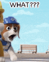 Rubble And Crew Wheeler Shocked GIF - Rubble And Crew Wheeler Shocked What GIFs
