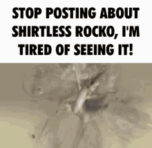 shirtless rocko rockos modern life rocko ice age stop posting