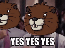 two cartoon beavers with the words yes yes yes