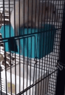 Rat Cage GIF - Rat Cage Open GIFs