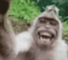 Locked In Monkey GIF - Locked In Monkey Monkey Meme GIFs