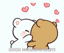 a couple of teddy bears are hugging each other and kissing .