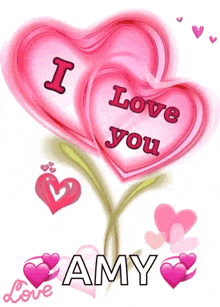 a pink heart with the words " i love you amy " written on it