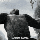 King Kong Chest Pound GIF - King Kong Chest Pound Angry GIFs