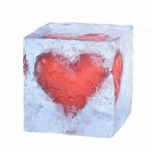 heart inside of an ice cube jon langston heart on ice song frozen heart cold hearted