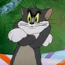 tom from the cartoon tom and jerry is standing with his arms crossed .