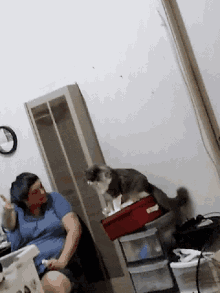 Major Scolding Naughty Cat GIF - Major Scolding Naughty Cat Arguing With Cat GIFs