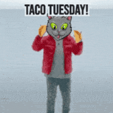 a cat in a red jacket is holding two tacos with the words taco tuesday behind him