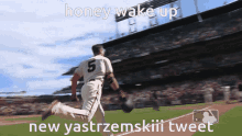 Wake Mike Yastrzemski GIF