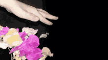 Tranhan122 Hand Gesture GIF - Tranhan122 Hand Gesture Flower GIFs