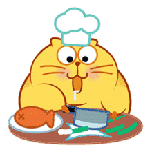 cook kitty