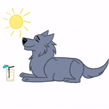 summer dog
