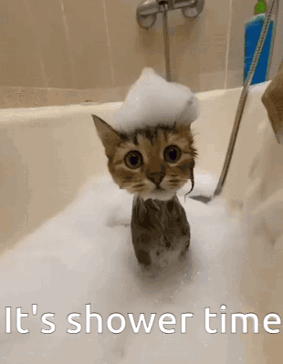 snoopy the cat bath