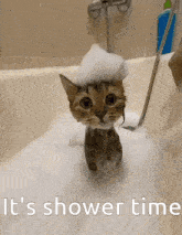 It Is Shower Time GIF - It Is Shower Time GIFs