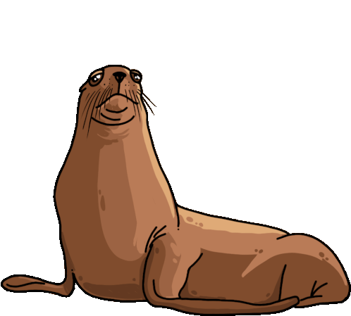 sea lion animated gif