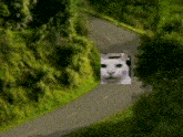 Cat Creepy Car Commercial GIF