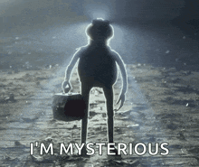 kermit the frog is holding a briefcase and says " i 'm mysterious "