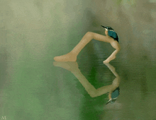 a painting of a bird sitting on a woman 's leg