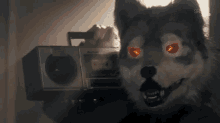 Cool Dude GIF - Cool Dude Wolf GIFs