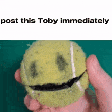 a person holding a tennis ball with a smiley face on it .