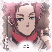 a picture of a boy with pink hair and the words sae de len above him