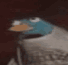Perry The Platypus What GIF - Perry The Platypus What GIFs