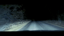 a wolf is standing in front of a car 's headlights in the woods at night .
