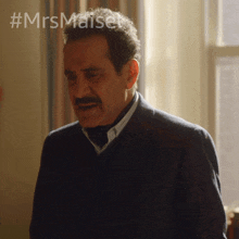 I Checked Abe Weissman GIF - I Checked Abe Weissman The Marvelous Mrs Maisel GIFs