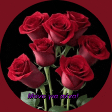 a bunch of red roses on a black background with a greeting in a foreign language on the bottom