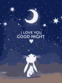 Good Night Bunny GIF - Good Night Bunny GIFs