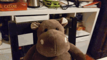 Ernest Hippo GIF - Ernest Hippo Seriously GIFs