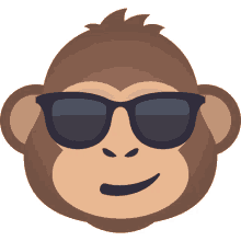monkey cool
