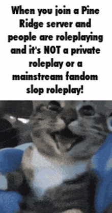 a cat is sitting in a blue chair with a caption that reads when you join a pine ridge server and people are roleplaying