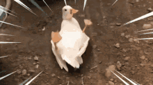 Duck Upside Down Duck GIF - Duck Upside Down Duck Subaru Duck GIFs