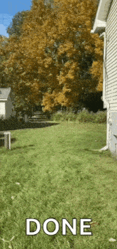 Lawnmower Garden GIF