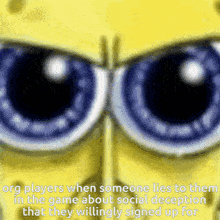 a close up of spongebob 's eyes with the caption " org players when someone lies to them