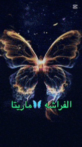 a glowing butterfly with arabic writing on the bottom