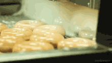 Fresh Glazed Donuts GIF - Donut Glazed Krispy Kreme GIFs